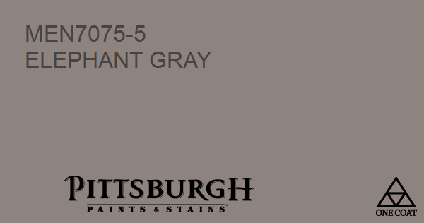 Paint Color Elephant Gray